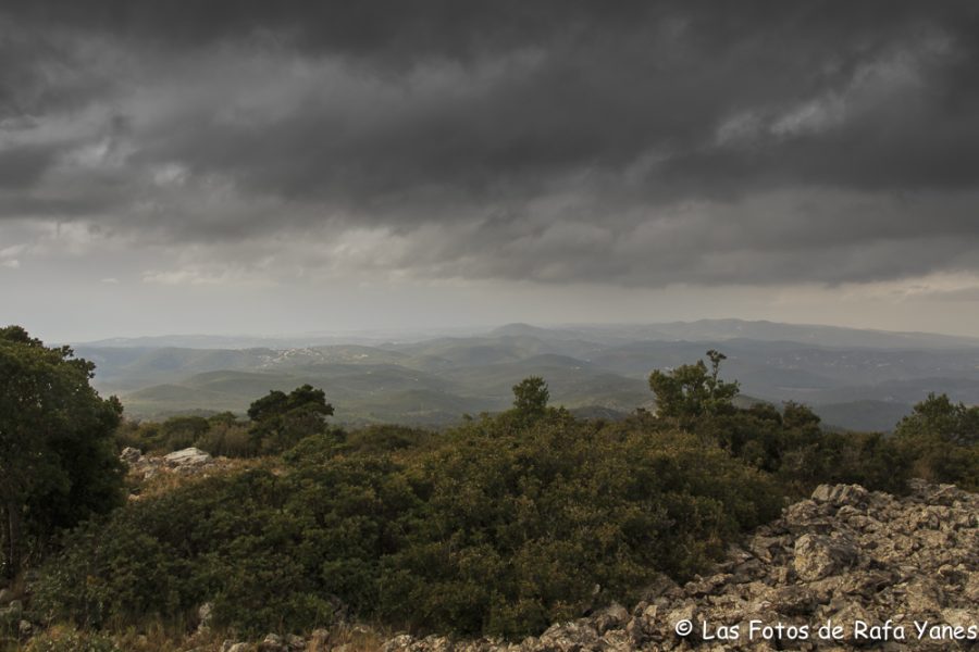 Ruta : Montau (658 m) y Puig de la Mola (427 m) (Els 100 Cims)