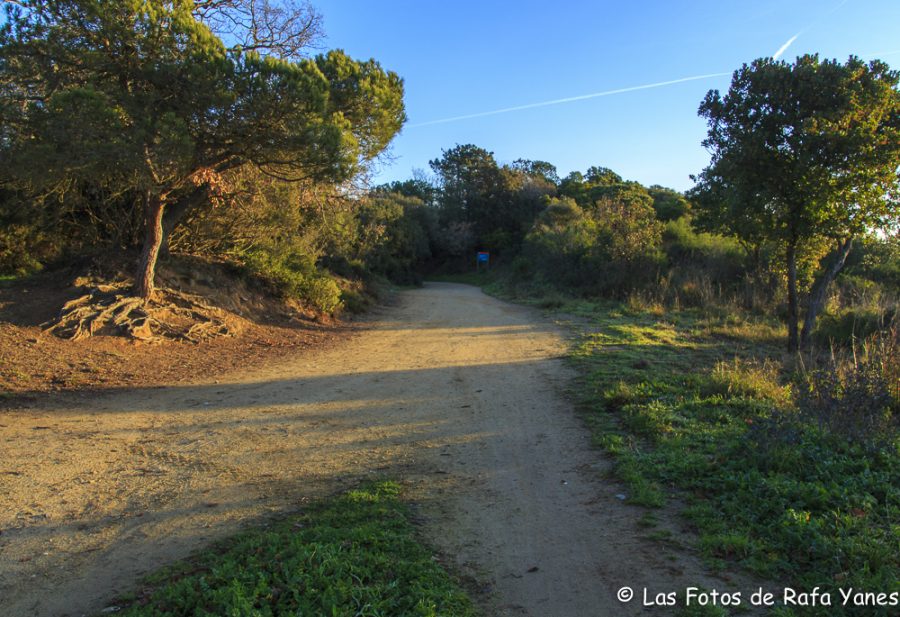 Ruta: Turó d’en Galzeran (484 m) (Els 100 Cims)