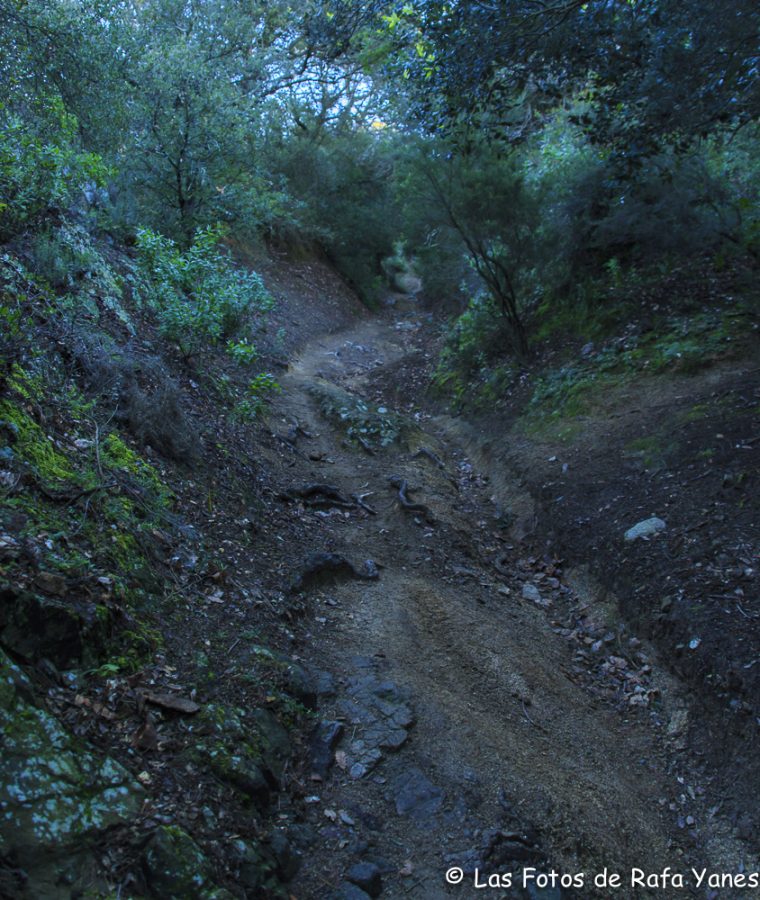 Ruta: Turó d’en Galzeran (484 m) (Els 100 Cims)