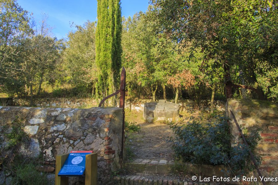 Ruta: Turó d’en Galzeran (484 m) (Els 100 Cims)