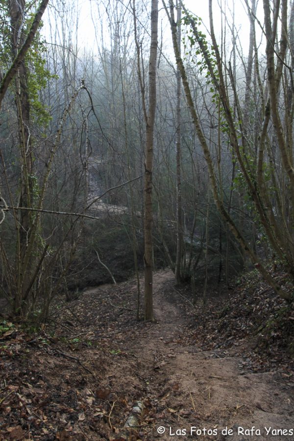 Ruta: Sant Miquel de Solterra (1.202 m) (Els 100 Cims)