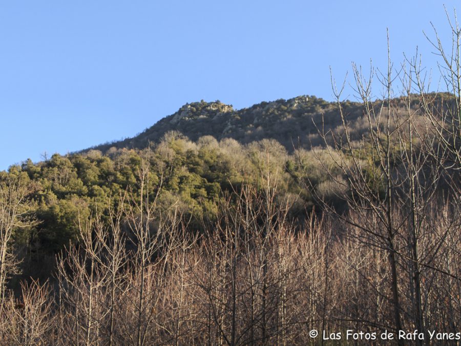 Ruta: Sant Miquel de Solterra (1.202 m) (Els 100 Cims)