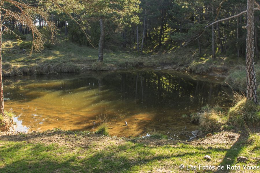 Ruta :Pedró de Tubau (1.543 m) (Els 100 Cims)