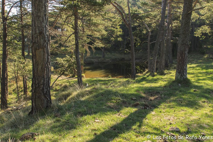 Ruta :Pedró de Tubau (1.543 m) (Els 100 Cims)