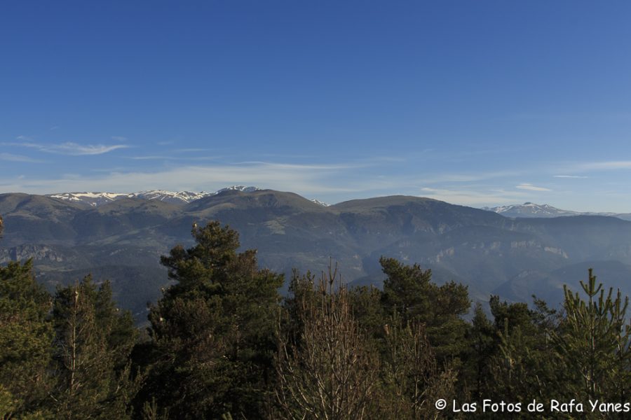 Ruta :Pedró de Tubau (1.543 m) (Els 100 Cims)