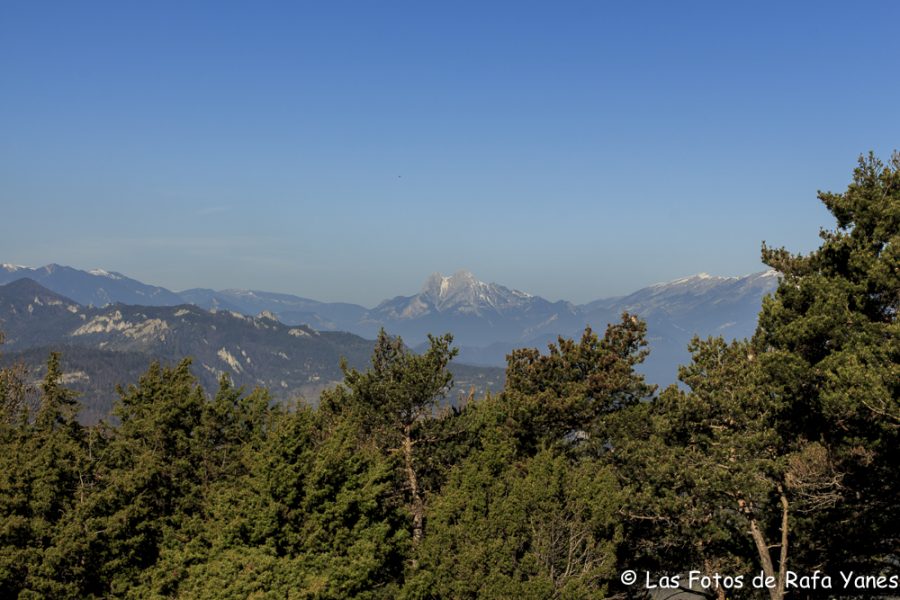 Ruta :Pedró de Tubau (1.543 m) (Els 100 Cims)