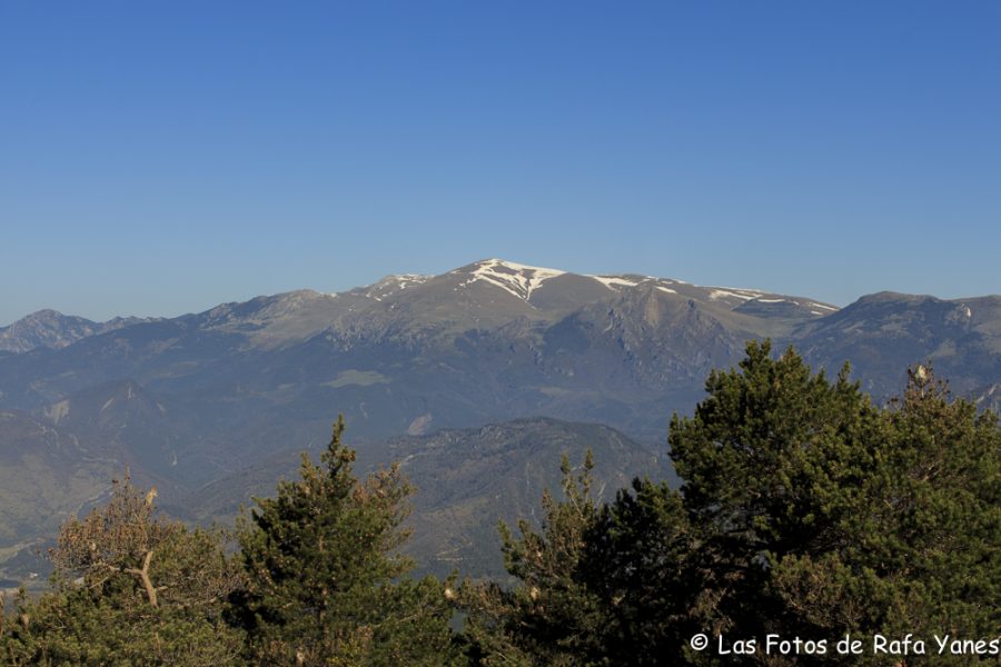 Ruta :Pedró de Tubau (1.543 m) (Els 100 Cims)