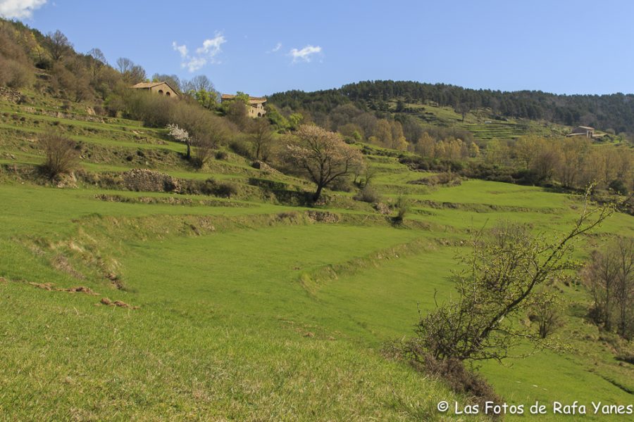 Ruta :Pedró de Tubau (1.543 m) (Els 100 Cims)