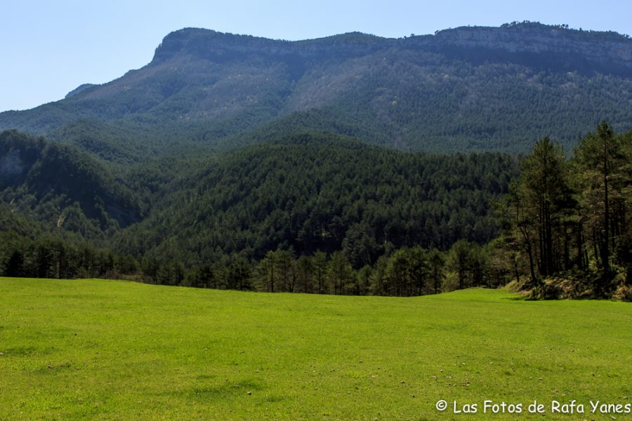 Ruta :Pedró de Tubau (1.543 m) (Els 100 Cims)
