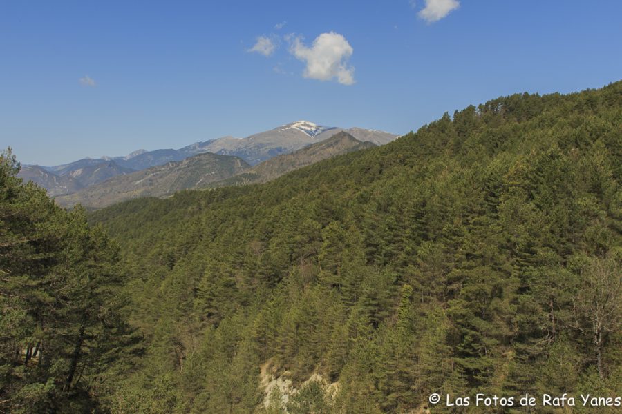 Ruta :Pedró de Tubau (1.543 m) (Els 100 Cims)