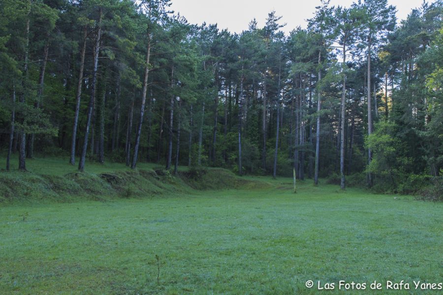 Ruta : Sobrepuny (1.666 m) (Els 100 Cims)