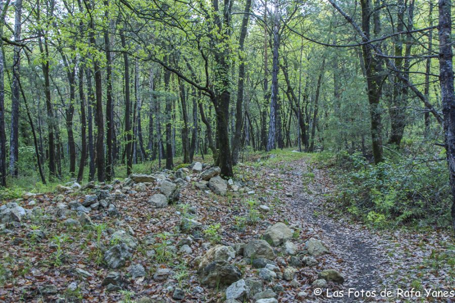 Ruta : Sobrepuny (1.666 m) (Els 100 Cims)