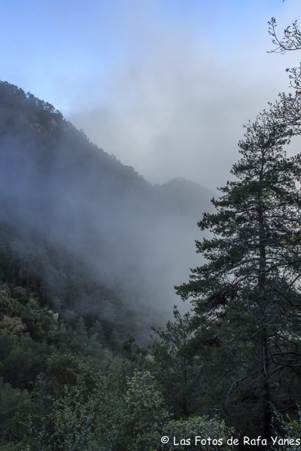 Ruta : Sobrepuny (1.666 m) (Els 100 Cims)