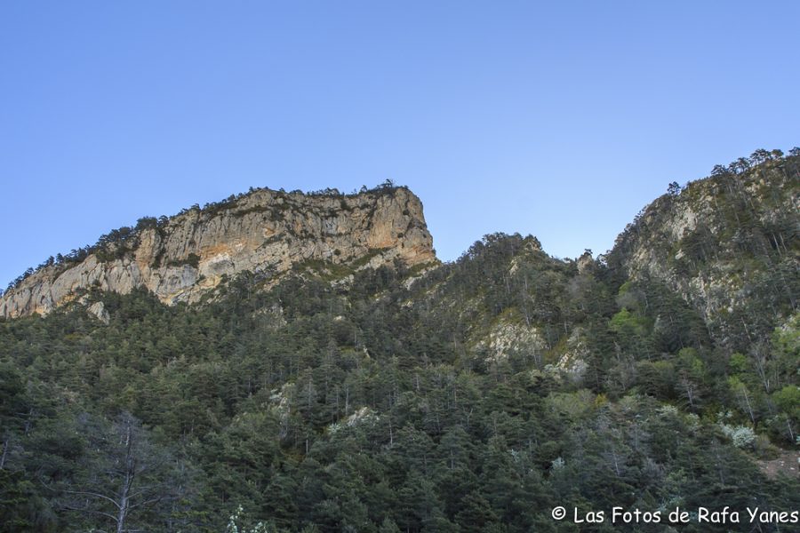 Ruta : Sobrepuny (1.666 m) (Els 100 Cims)