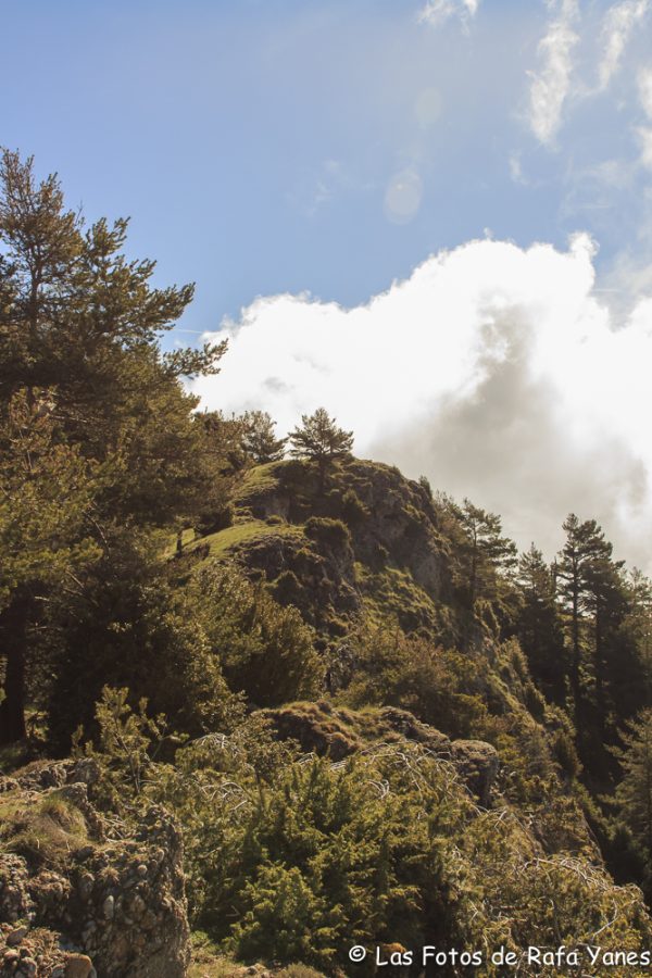 Ruta : Sobrepuny (1.666 m) (Els 100 Cims)