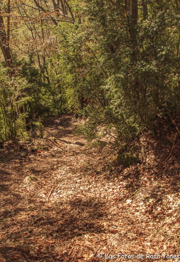 Ruta : Sobrepuny (1.666 m) (Els 100 Cims)