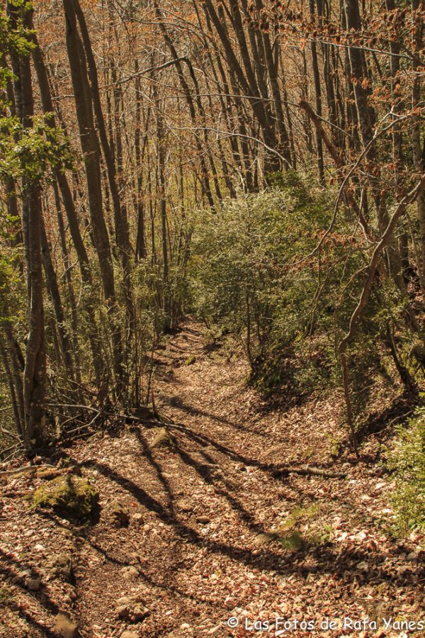 Ruta : Sobrepuny (1.666 m) (Els 100 Cims)