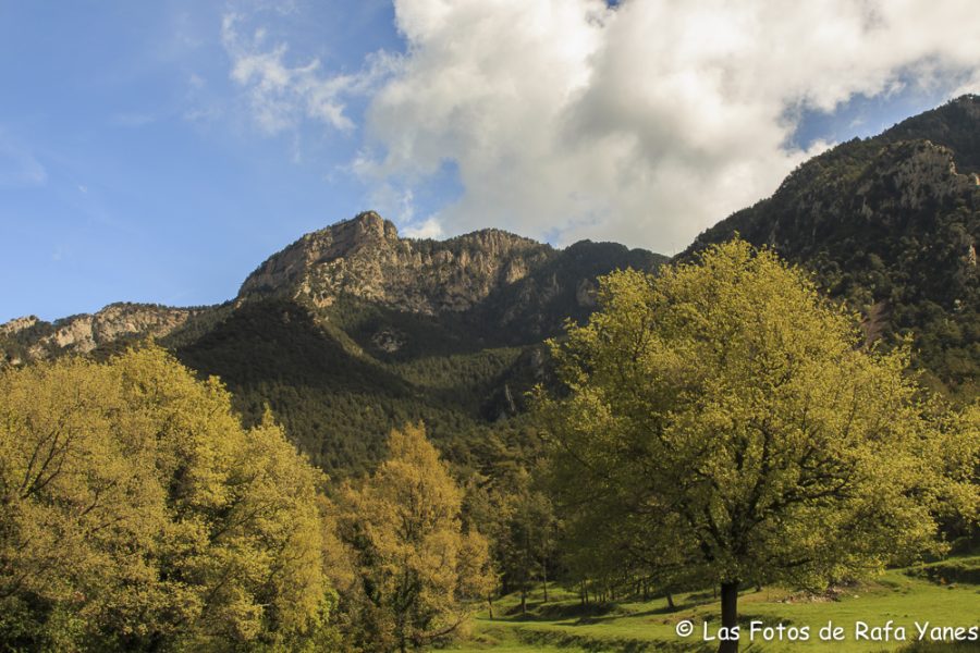 Ruta : Sobrepuny (1.666 m) (Els 100 Cims)