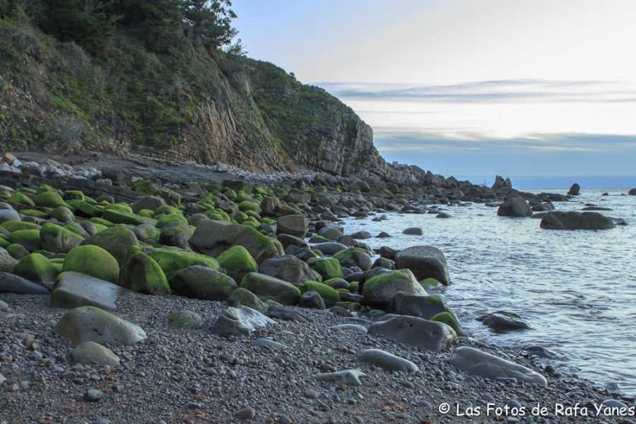 Playa de Arribolas (Vizcaya)