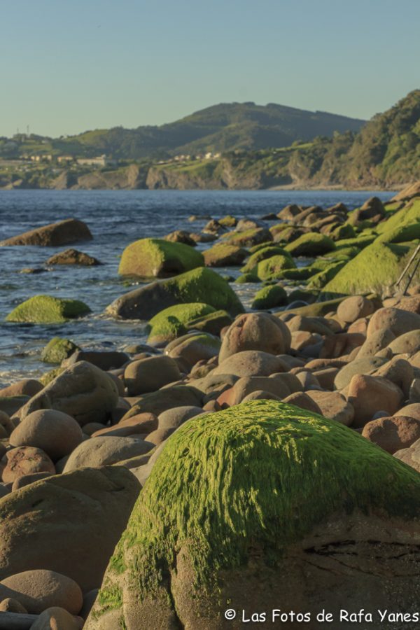 Playa de Arribolas (Vizcaya)