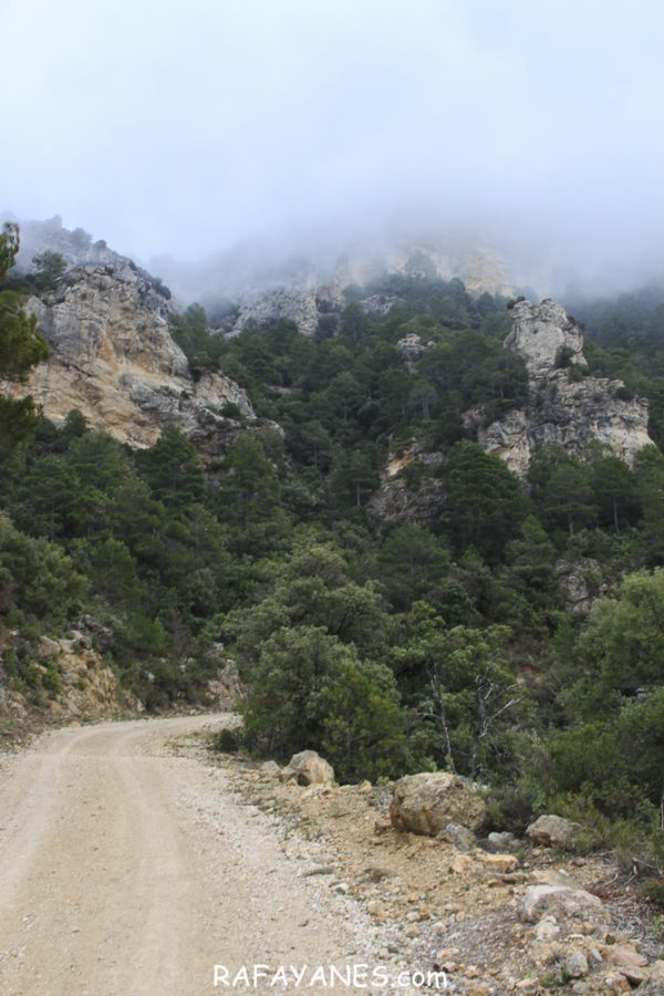 Ruta: Roques de Benet (1.017 m.) (Els 100 Cims)