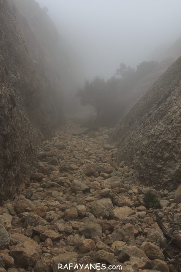 Ruta: Roques de Benet (1.017 m.) (Els 100 Cims)