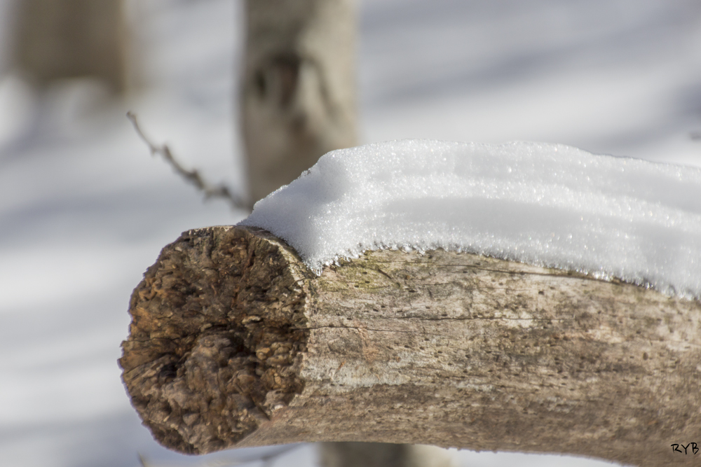 La nieve vista con otros ojos