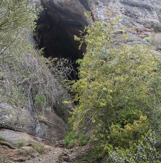 Ruta: Els Cortins y Cova Simanya