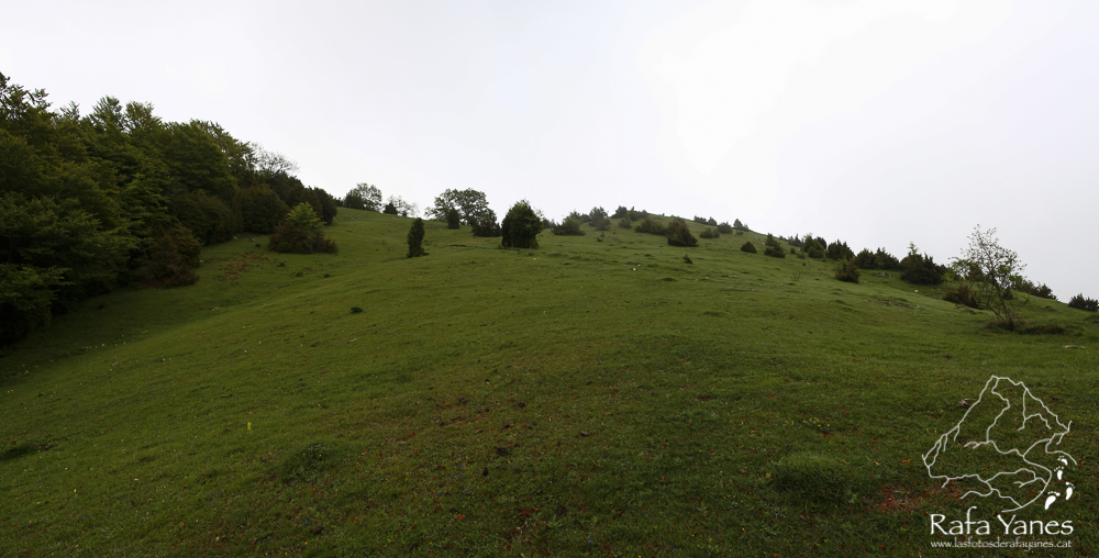 Ruta: Puig Ou (1.300 m) (Els 100 Cims)