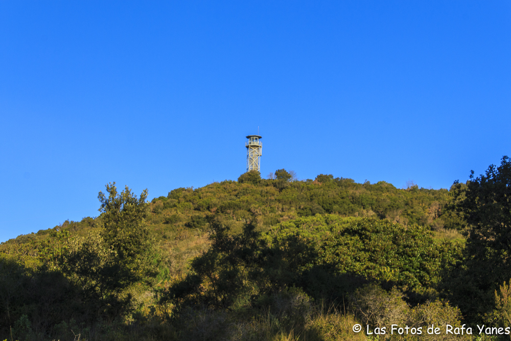 Ruta: Turó d’en Galzeran (484 m) (Els 100 Cims)