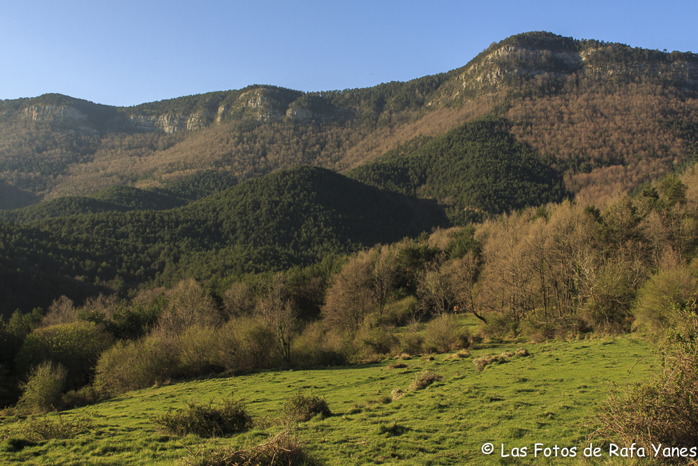 Ruta :Pedró de Tubau (1.543 m) (Els 100 Cims)