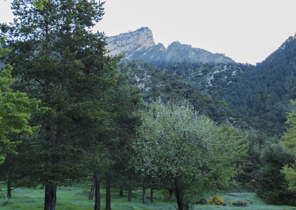 Ruta : Sobrepuny (1.666 m) (Els 100 Cims)