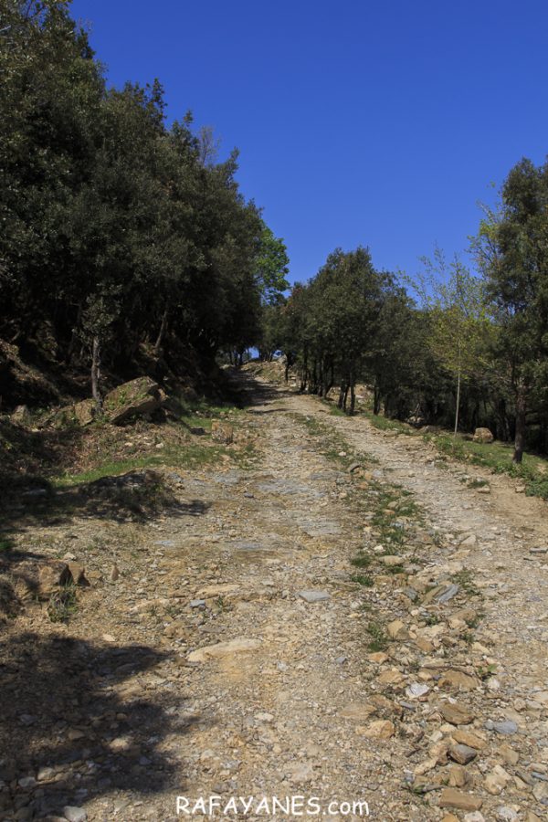 Ruta: Puig de Bestrecà (1.056 m.) (Els 100 Cims)