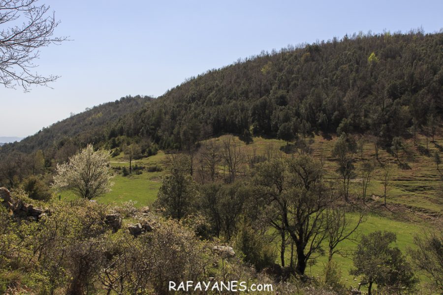 Ruta: Puig de Bestrecà (1.056 m.) (Els 100 Cims)