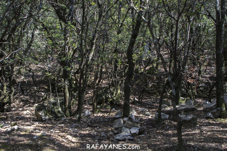 Ruta: Puig de Bestrecà (1.056 m.) (Els 100 Cims)