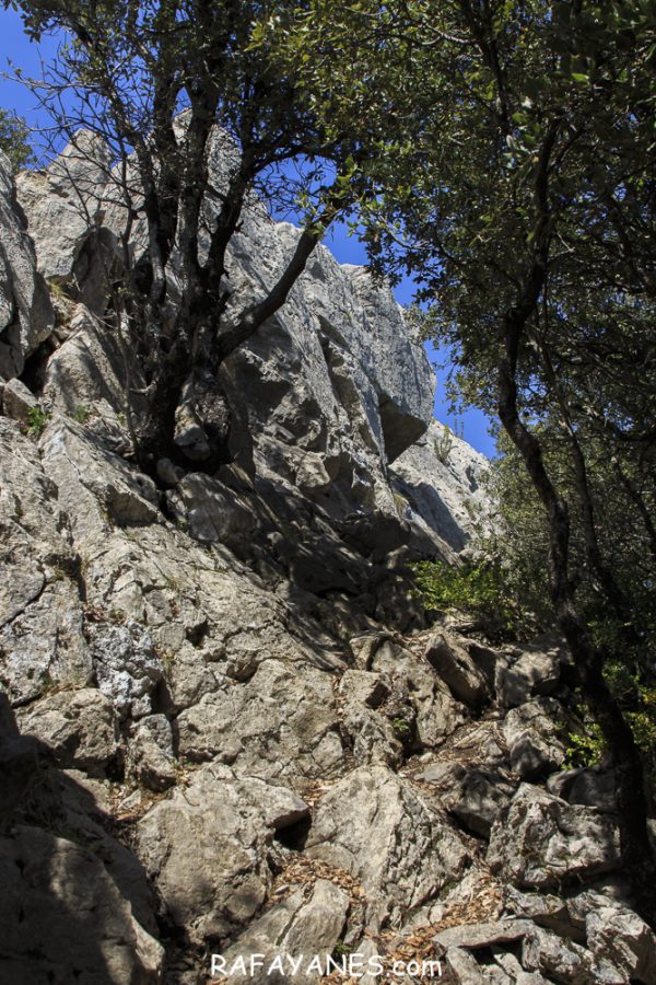 Ruta: Puig de Bestrecà (1.056 m.) (Els 100 Cims)