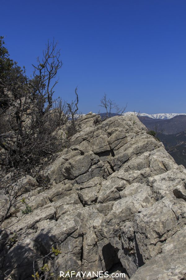 Ruta: Puig de Bestrecà (1.056 m.) (Els 100 Cims)