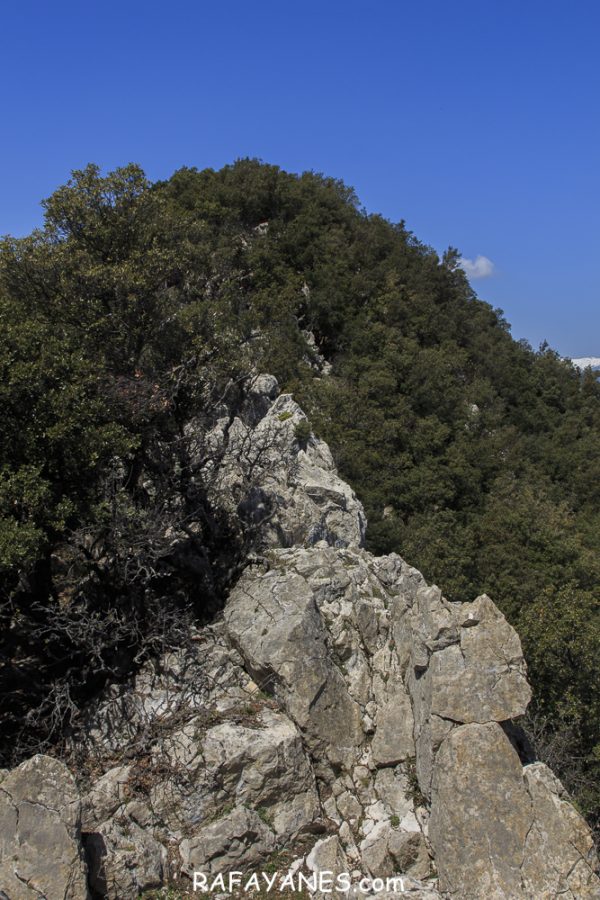 Ruta: Puig de Bestrecà (1.056 m.) (Els 100 Cims)