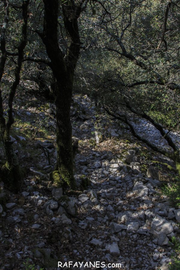 Ruta: Puig de Bestrecà (1.056 m.) (Els 100 Cims)