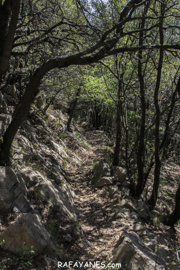 Ruta: Puig de Bestrecà (1.056 m.) (Els 100 Cims)