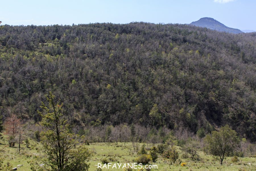 Ruta: Puig de Bestrecà (1.056 m.) (Els 100 Cims)