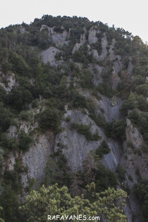 Ruta: Tossal de les Viudes  (1.378 m) y El Cogul (1.526) (Els 100 Cims)