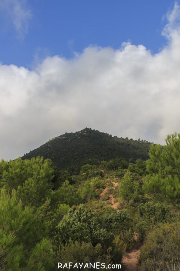 Ruta: Cogulló de Cal Torre (881 m) (Els 100 Cims)