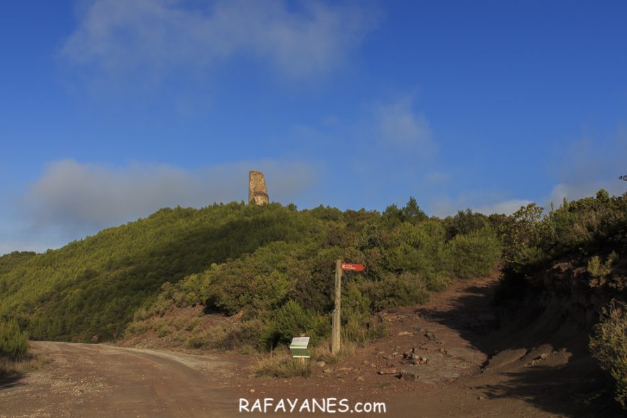 Ruta: Turó de la Torre o de Castellnou (824 m) (Els 100 Cims)