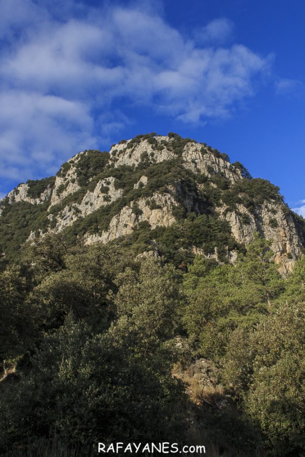 Ruta: Puig de Bassegoda (1.373 m) (Els 100 Cims)