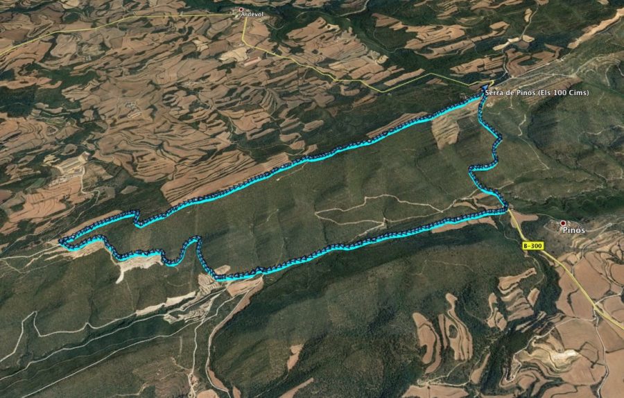 Ruta: Serra de Pinós (928 m) (Els 100 Cims)