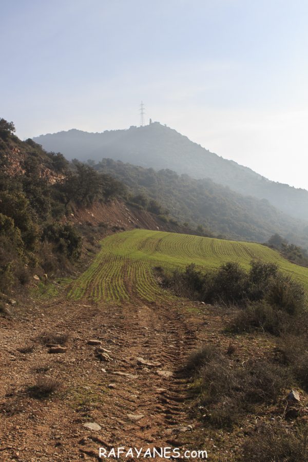 Ruta: Puig de Grialó (667 m) (Els 100 Cims)