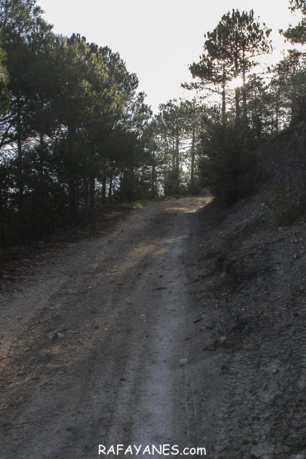 Ruta: Picorandan (991 m.) y Puig Pelat ( 1.076 m.) (Els 100 Cims)