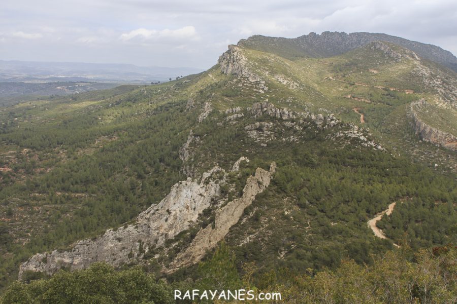 Ruta: Puigcabrer ( 524 m.) (Els 100 Cims)