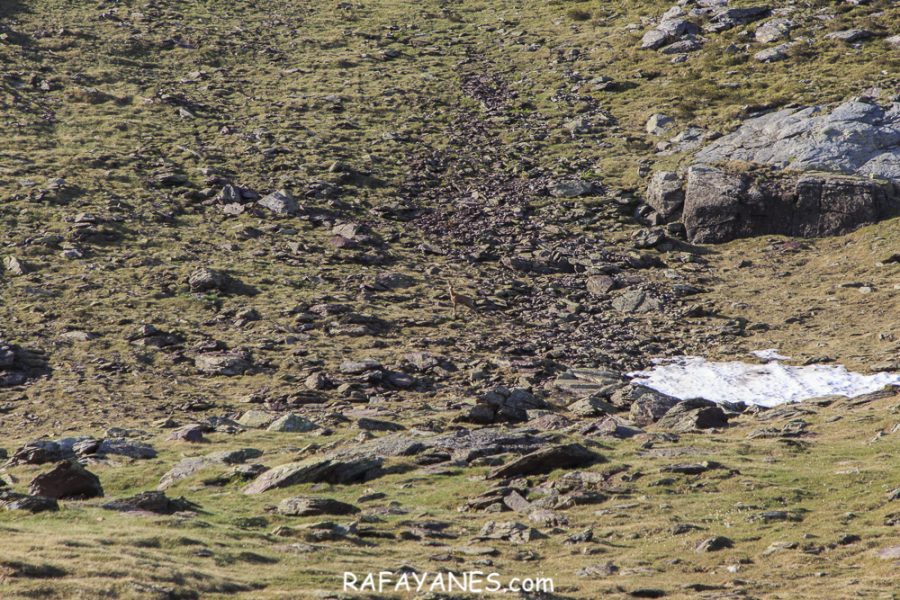 Ruta: Vuelta al Midi d’Ossau